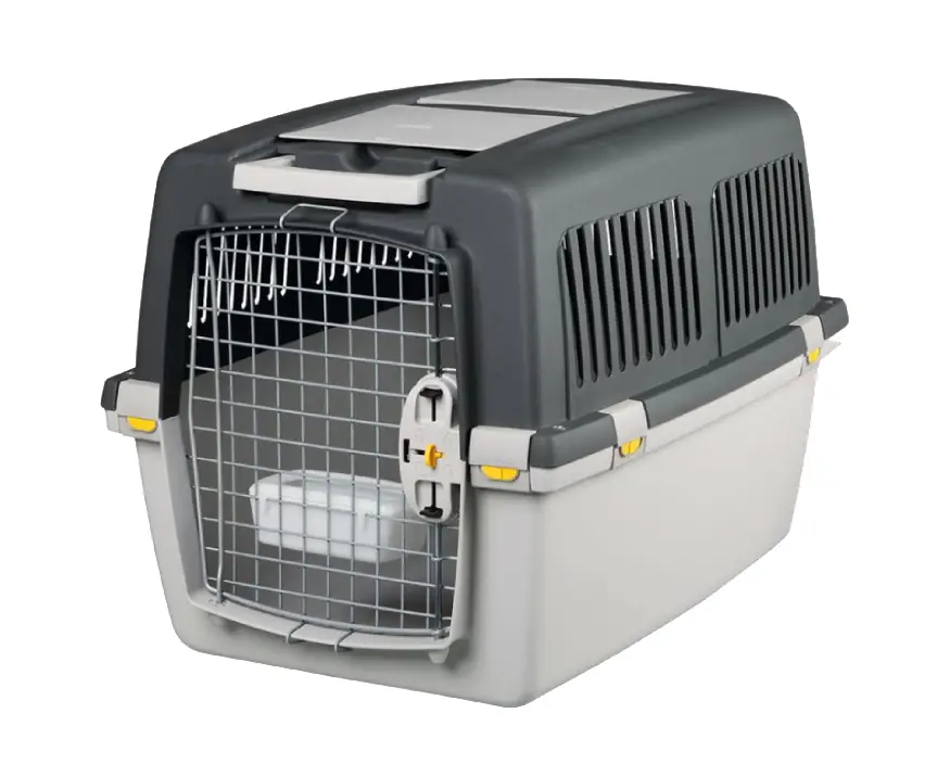 Moder Pes - transportni box - najem