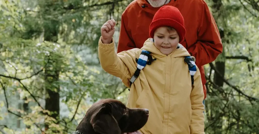 Lulanje in kakanje psa - Pasja šola - Moder Pes