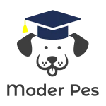 Moder pes - pasja šola